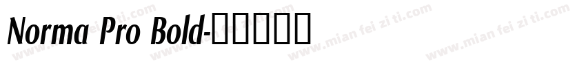 Norma Pro Bold字体转换